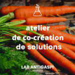atelier de co-création de solutions - LAB ANTIGASPI